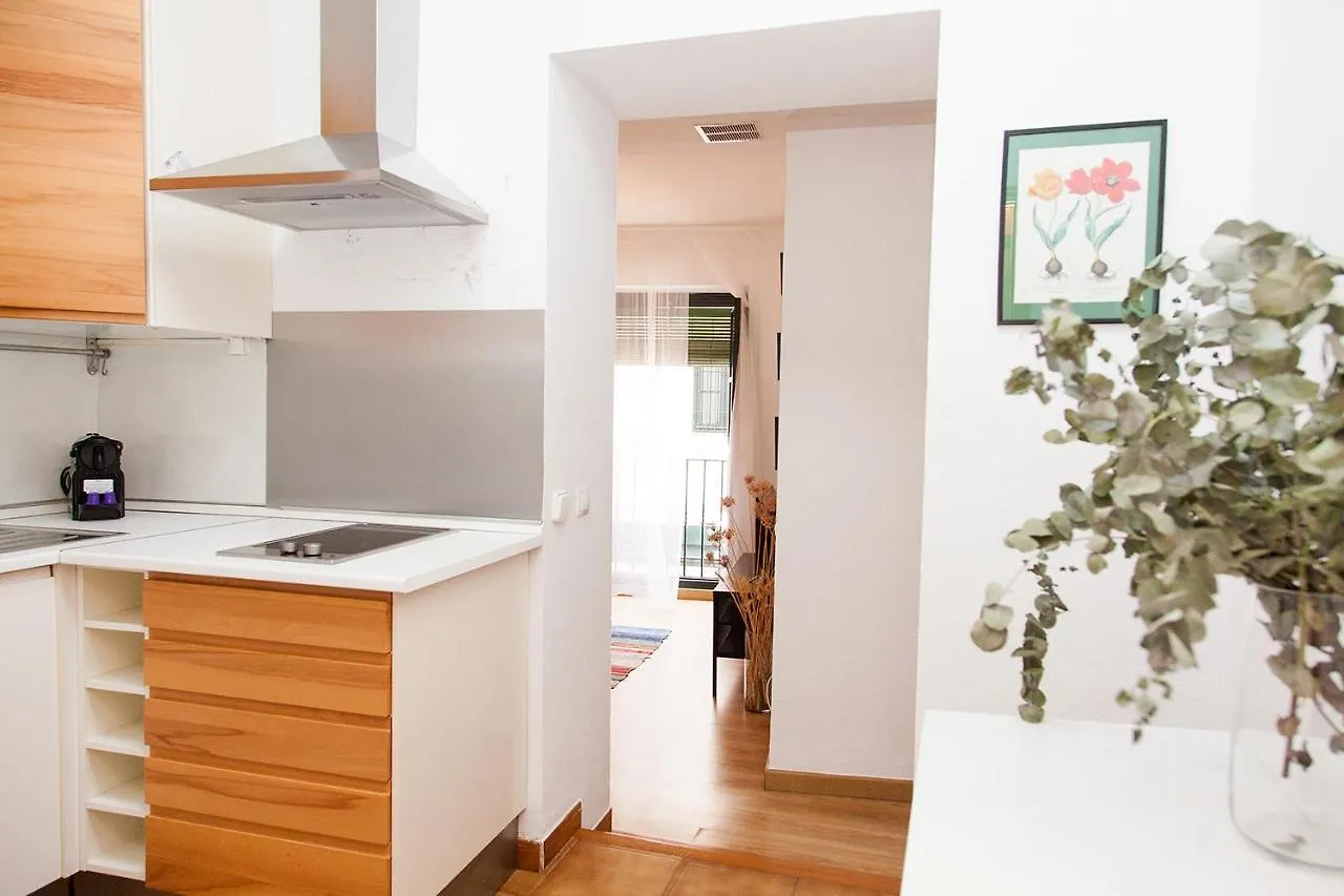 Gotoseville Sierpes Suite Apartment